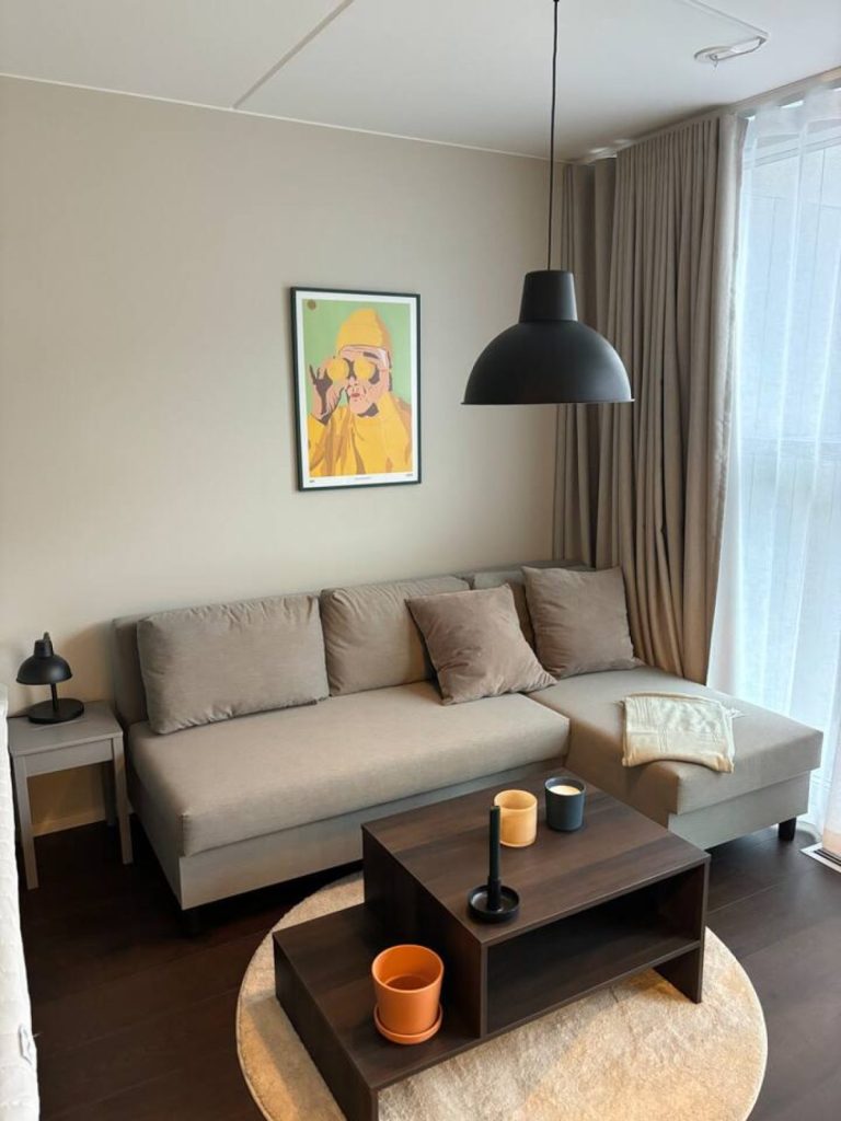 Bright Designer Apartment in Central Gothenburg Main Image